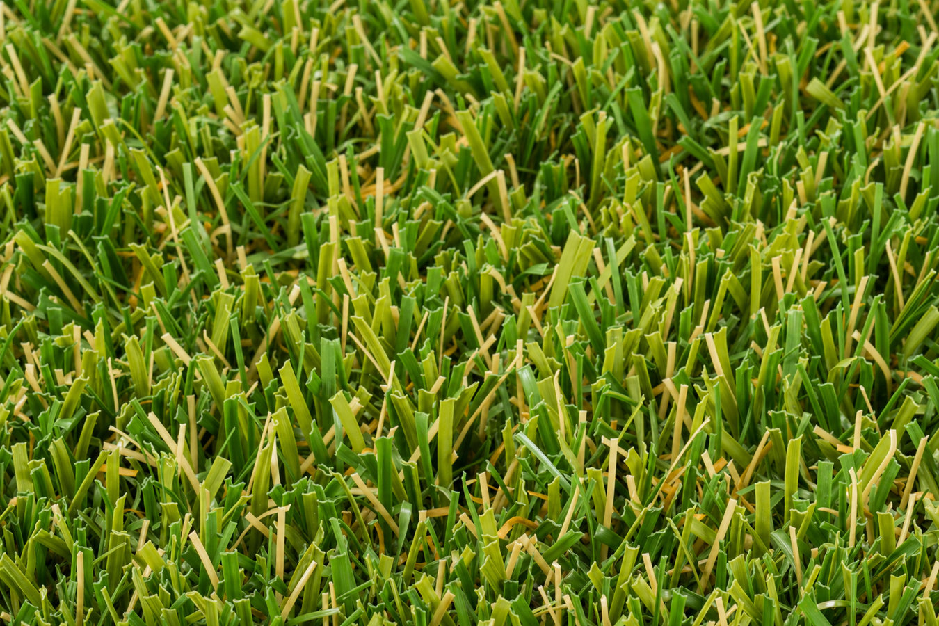 Synthetic lawn turf in Winter Haven, FL